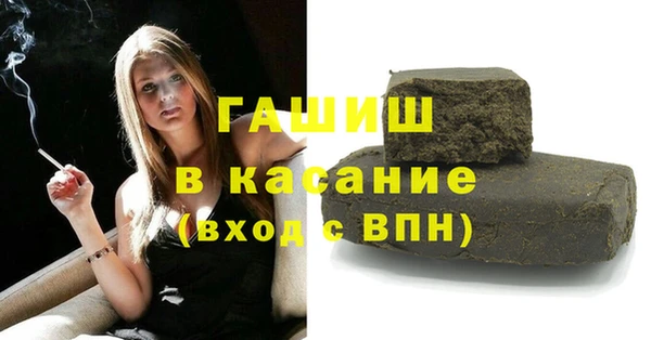 индика Алзамай