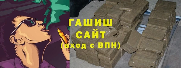 индика Алзамай