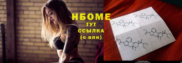 индика Алзамай