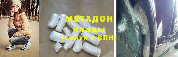 индика Алзамай