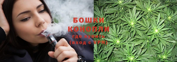 индика Алзамай